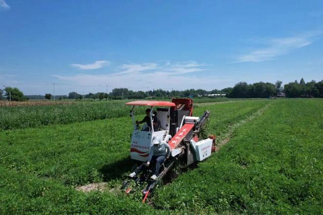 陵民警王一晕倒了……新增一批酒驾曝光【铜陵头条0826】两次冲进火场 铜(图6)