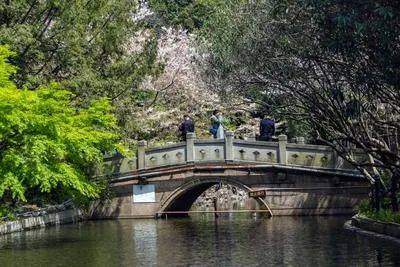 楼盘百科→首页网站→楼盘测评→中心电线小时热线电话万科中兴傲舍售楼处电话→万科中兴傲舍售楼中心电线年(图2)