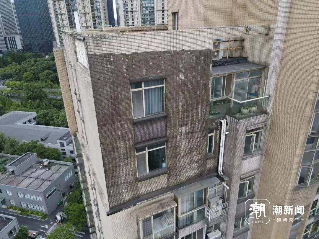 户型价格地址楼盘详情配套电话交房时间配套电话交房时间璞翠云集(售楼处)  -璞翠云集销售中心 - 环境(图14)